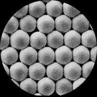 Nanoparticles